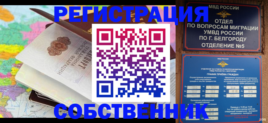 временная регистрация гарантия в Судогде